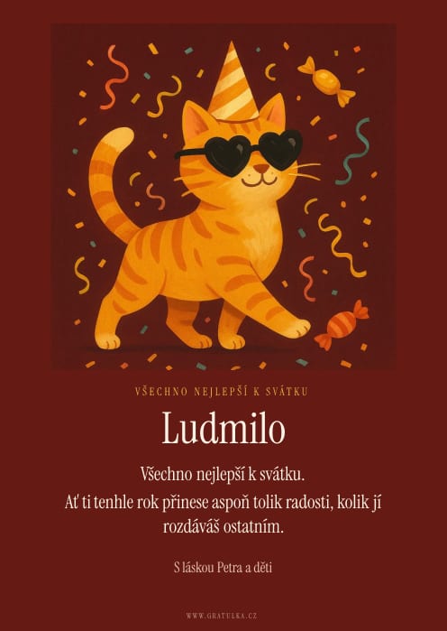Šablona Párty kočka